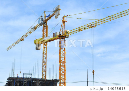 Cranes 14023613
