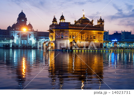 Golden Temple in the evening. Amritsar. India 14023731