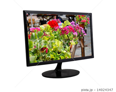 flower on a monitor flower on a monitor 14024347