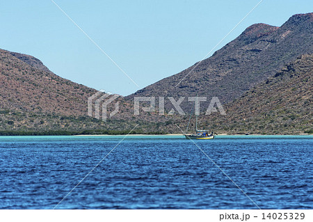 baja california coast rocks and desert 14025329