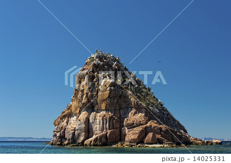 baja california coast rocks and desert baja california coast rocks and desert 14025331