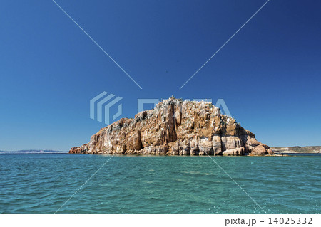 baja california coast rocks and desert 14025332