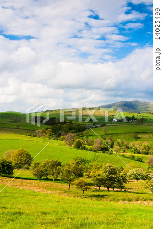 Typical landscape in Yorkshire Dales National Park in Great Britain 14025499