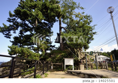 雨晴海岸　義経社 14025501