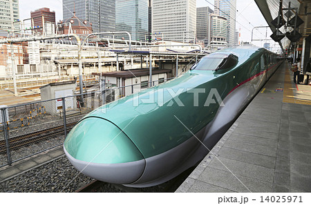 E5系はさぶさ新幹線東京駅にて 14025971