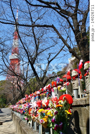 増上寺 増上寺 14026711