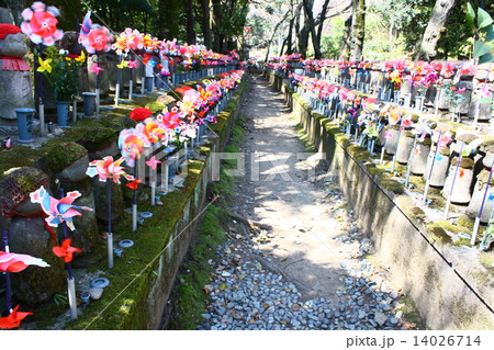 増上寺 増上寺 14026714