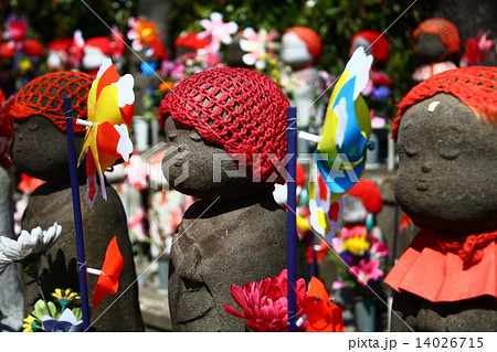 増上寺 増上寺 14026715