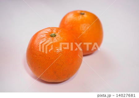 タンカン タンカン 14027681