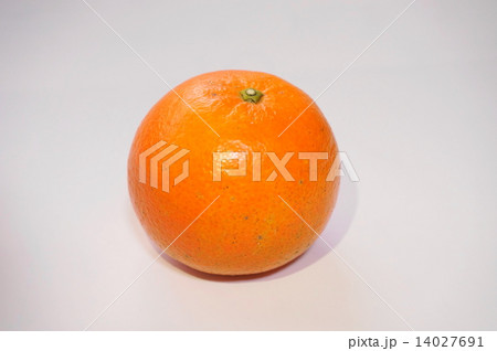 タンカン タンカン 14027691