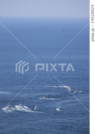 一本釣り船団 一本釣り船団 14028024