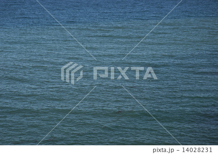 さざ波 14028231