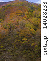 紅葉する山 14028233