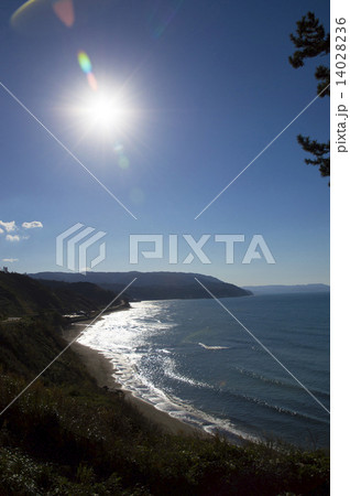能登の海岸 14028236