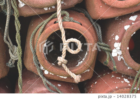 たこつぼ 14028375