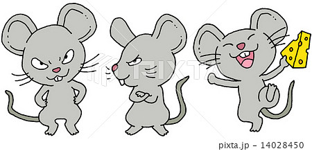 目付きの悪い鼠のイラスト素材