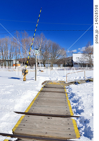 雪中の踏切 14028598