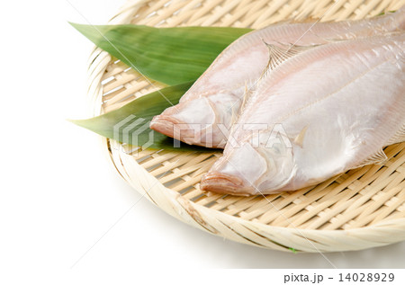 エテカレイ エテカレイ 14028929