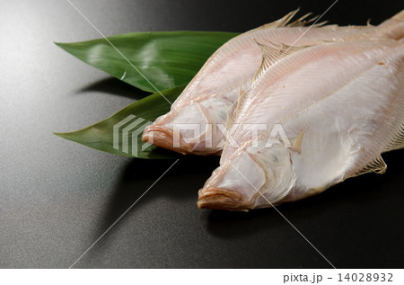 エテカレイ エテカレイ 14028932