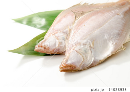 エテカレイ エテカレイ 14028933