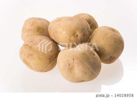 じゃがいも 14028958