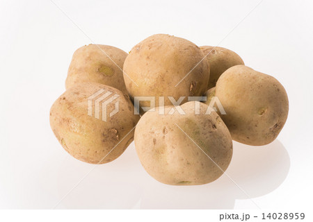 じゃがいも じゃがいも 14028959