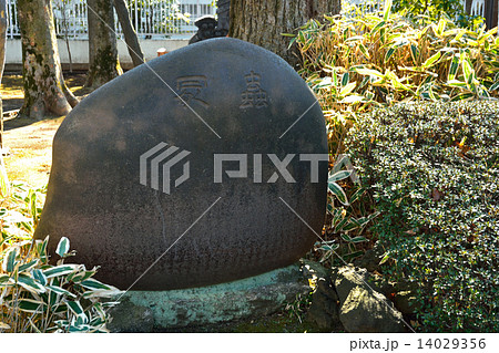 谷根千散歩・虫塚碑　天台宗寛永寺 14029356