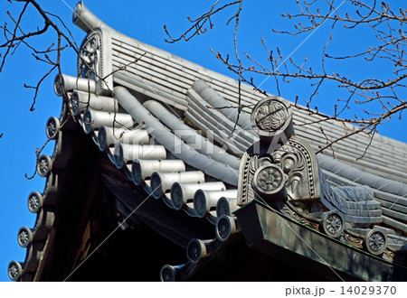 谷根千散歩・根本中堂　天台宗寛永寺 14029370