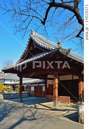 谷根千散歩・天台宗寛永寺 14029371