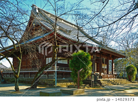 谷根千散歩・根本中堂　天台宗寛永寺 14029373