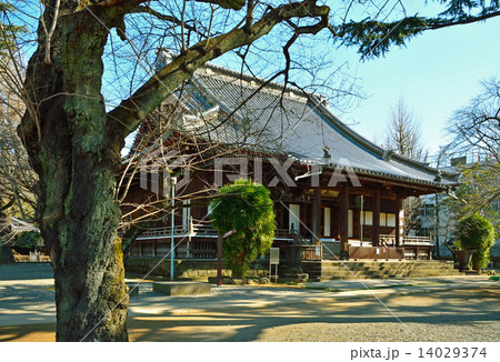 谷根千散歩・根本中堂　天台宗寛永寺 14029374