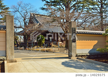 谷根千散歩・根本中堂　天台宗寛永寺 14029375