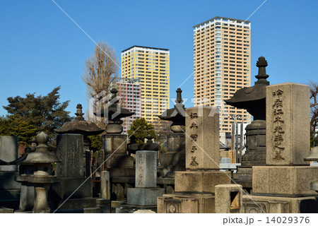 谷根千散歩・谷中霊園 14029376