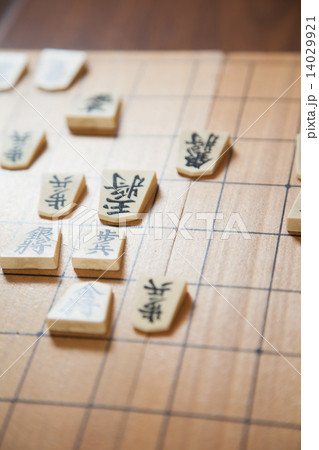 将棋 将棋 14029921