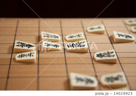将棋 将棋 14029923