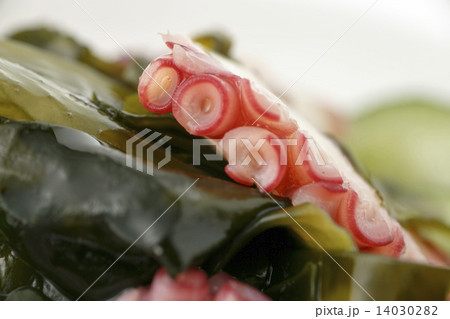 わかめとタコの酢の物 14030282