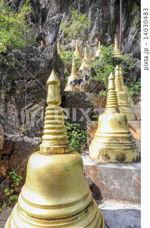 The Tiger Cave Temple The Tiger Cave Temple 14030483