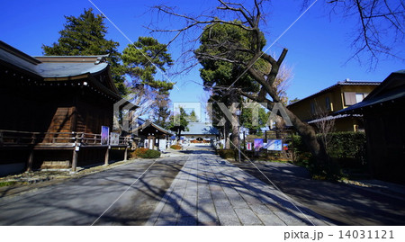 松陰神社　神楽殿　吉田松陰を祀る神社 （東京都 世田谷区 若林 ） 14031121