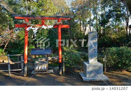 鷲宮神社・みひかりの池 鷲宮神社・みひかりの池 14031207