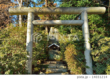 鷲宮神社・諏訪大明神 鷲宮神社 鷲宮神社・諏訪大明神 鷲宮神社 14031214
