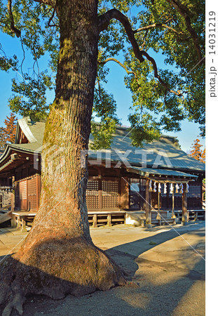 鷲宮神社・拝殿 鷲宮神社 鷲宮神社・拝殿 鷲宮神社 14031219