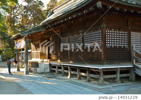 鷲宮神社・拝殿 鷲宮神社 鷲宮神社・拝殿 鷲宮神社 14031229