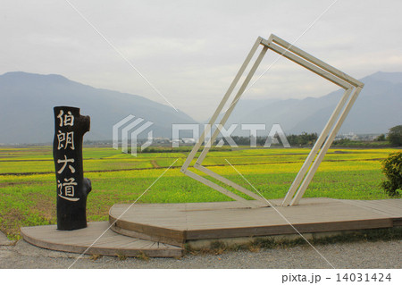 台湾観光地 台東 サイクリングロード 14031424