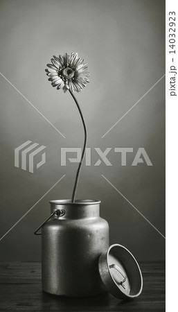 The growth of the power 14032923