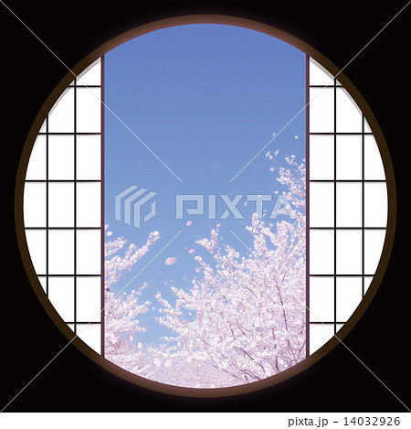 桜並木 桜並木 14032926