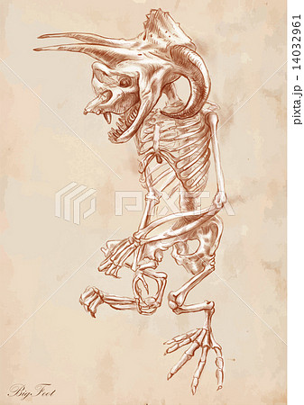 An hand drawn vector - Bigfoot (Yeti) 14032961