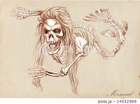 An hand drawn vector - Mermaid 14032969