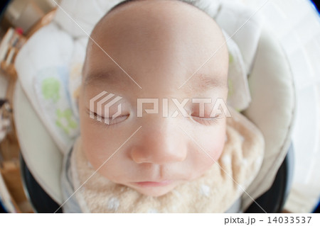 five months old 14033537