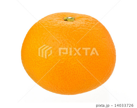 八朔（ハッサク）。柑橘類のフルーツ。 14033726