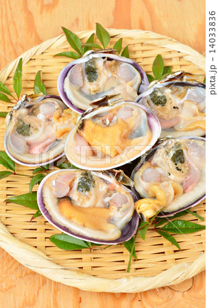 大あさり(大アサリ)※生(未加熱) 千葉県産 大あさり(大アサリ)※生(未加熱) 千葉県産 14033836